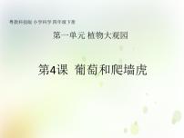 粤教粤科版 (2017)四年级下册第1单元 植物大观园4 葡萄和爬墙虎教学ppt课件