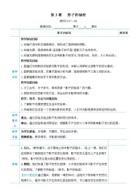 2021学年3.影子的秘密教案