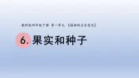 小学教科版 (2017)6.果实和种子课堂教学ppt课件