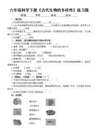 科学六年级下册6.古代生物的多样性精练