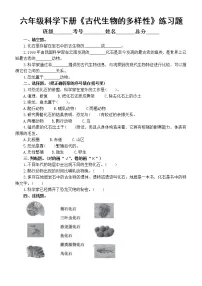 科学六年级下册6.古代生物的多样性精练