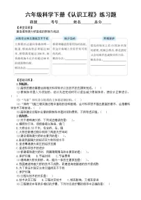 教科版 (2017)六年级下册2.认识工程课时作业