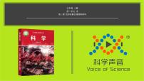 小学科学教科版 (2017)五年级上册3.光的传播会遇到阻碍吗背景图ppt课件