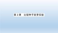 科学2.比较种子发芽实验习题ppt课件