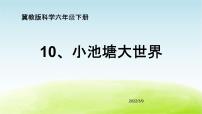 冀教版六年级下册10 小池塘大世界教学ppt课件