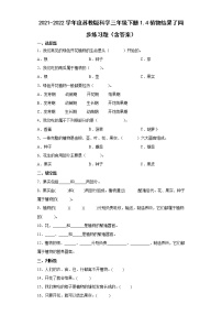 小学科学苏教版 (2017)三年级下册4 植物结果了课后作业题