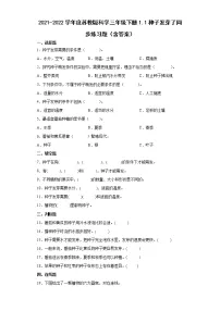 2021学年1 种子发芽了测试题
