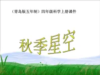 小学科学青岛版 (五四制)四年级上册6 秋季星空课文课件ppt