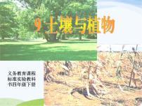 青岛版 (五四制)三年级下册12 土壤与植物课前预习课件ppt