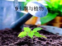 小学青岛版 (五四制)12 土壤与植物集体备课ppt课件