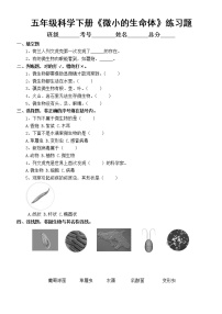 小学科学苏教版 (2017)五年级下册2 微小的生命体课后练习题