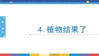 2020-2021学年4 植物结果了完美版ppt课件