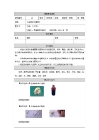 小学科学教科版 (2017)四年级上册5.食物中的营养学案