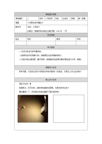教科版 (2017)五年级上册2.光是怎样传播的学案及答案