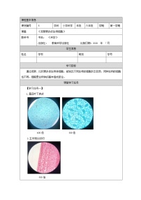 小学科学5.观察更多的生物细胞学案