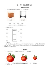 小学科学教科版一年级下册全册课堂作业新设计2