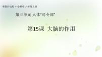 小学科学15 大脑的作用教学课件ppt