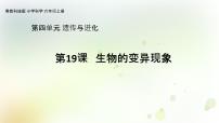 小学科学粤教粤科版 (2017)六年级上册19 生物的变异现象教学课件ppt