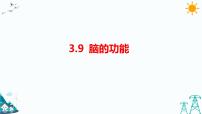 小学科学人教鄂教版 (2017)五年级下册9 脑的功能习题课件ppt