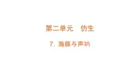 小学科学苏教版 (2017)五年级下册海豚与声呐优质课ppt课件