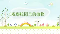 2021学年3 观察校园里的植物课文内容ppt课件
