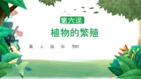 小学科学冀人版 (2017)四年级下册6 植物的繁殖优秀教学课件ppt