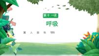 冀人版 (2017)四年级下册第四单元 爱护身体11 呼吸优质教学ppt课件