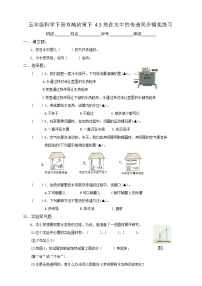 小学科学5.热在水中的传递精品同步测试题