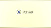 青岛版 (五四制2017)五年级下册4 我们的脑授课ppt课件