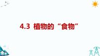 科学五年级下册3 植物的“食物”课文内容ppt课件