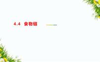 小学科学大象版 (2017)五年级下册4 食物链教课内容ppt课件