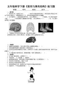 小学科学苏教版 (2017)五年级下册第二单元 仿生6 蛋壳与拱形建筑习题