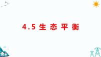 小学科学大象版 (2017)五年级下册第四单元 食物与能量5 生态平衡授课ppt课件