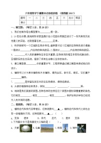 教科版科学六年级下册期中综合测评卷（一）（含答案）