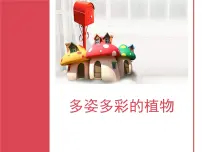 科学11.多姿多彩的植物授课课件ppt