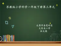 科学一年级下册7.找空气教案配套ppt课件