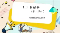 人教鄂教版 (2017)二年级上册1 养植物获奖课件ppt