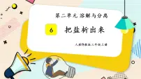 人教鄂教版 (2017)三年级上册6 把盐析出来完美版授课课件ppt