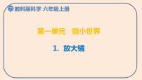 小学科学教科版 (2017)六年级上册1.放大镜图片课件ppt