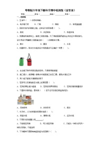 粤科版六年级下册科学期中检测1（含答案）