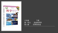 小学冀人版 (2017)第3课 四季的形成教案配套课件ppt