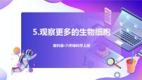 科学教科版 (2017)5.观察更多的生物细胞一等奖ppt课件