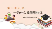 粤教粤科版 (2017)六年级上册1 为什么能看到物体获奖教学设计及反思