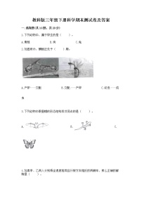 教科版三年级下册科学期末测试卷【黄金题型】