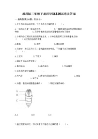 教科版三年级下册科学期末测试卷可打印