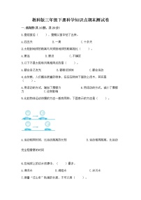 教科版三年级下科学知识点期末测试卷（名师系列）