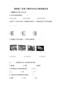 教科版三年级下科学知识点期末测试卷（研优卷）