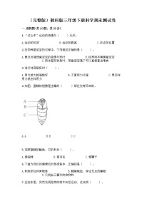 教科版三年级下三年级下册科学期末测试卷含答案【模拟题】