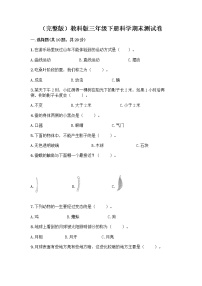 教科版三年级下三年级下册科学期末测试卷含答案【能力提升】