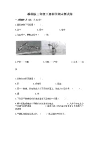 教科版三年级下册科学期末测试卷【A卷】